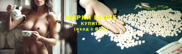 гашик Арсеньев