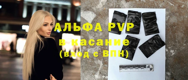 гашик Арсеньев