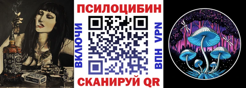 Псилоцибиновые грибы Psilocybine cubensis  Белебей 